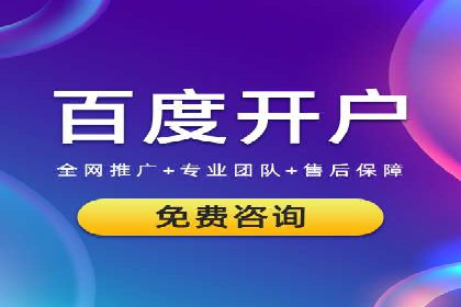 百度竞价代理的运营策略与成功案例分析